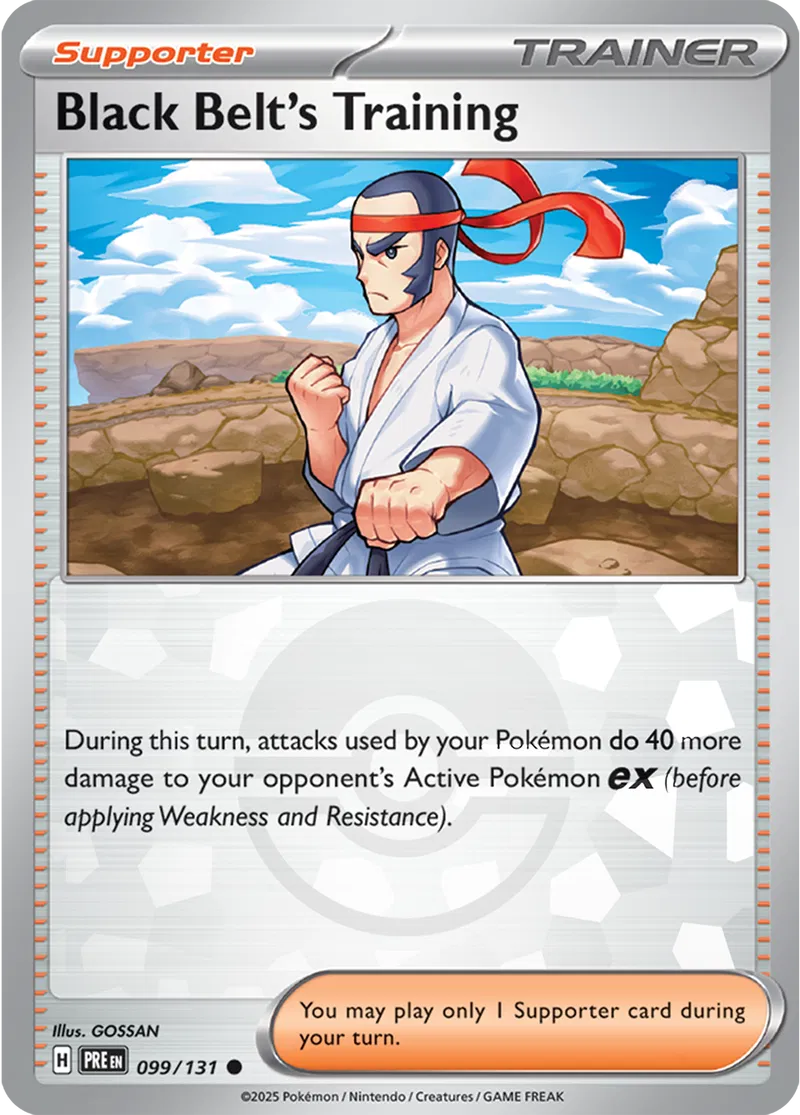 Black Belt's Training Poke ball Holo